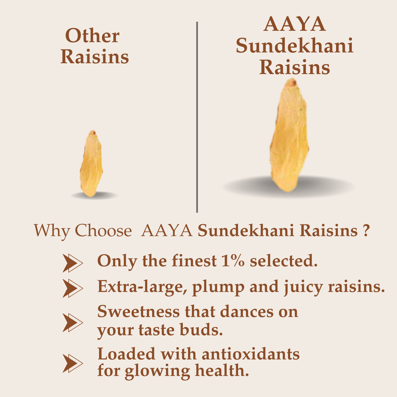 SUNDEKHANI RAISINS (LONG)