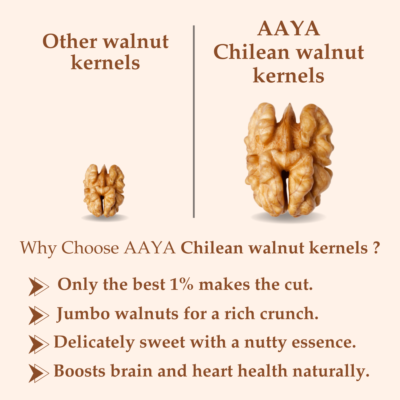CHILEAN WALNUT KERNELS (JUMBO)