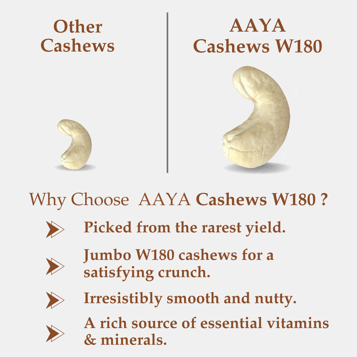 CASHEWS W180 (JUMBO)