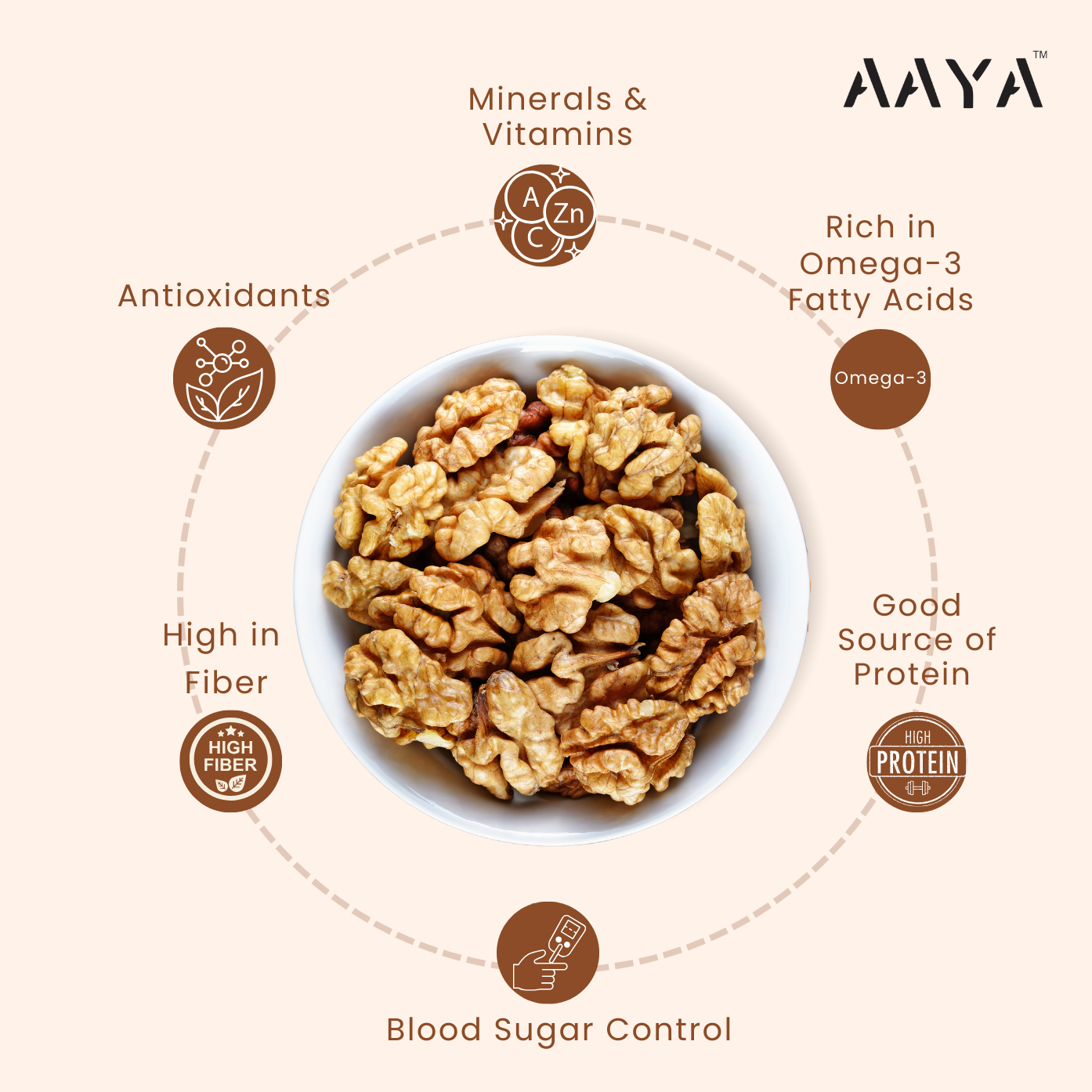 CHILEAN WALNUT KERNELS (JUMBO)