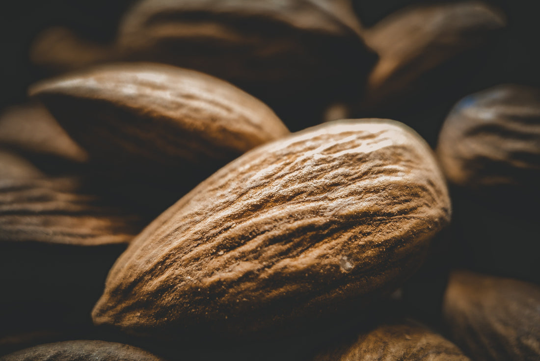 The Superpowers of Dry Fruits: Why They're a Must for Every Diet